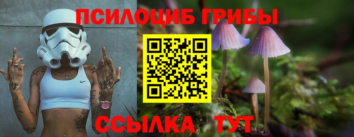 Псилоцибиновые грибы мухоморы Бор